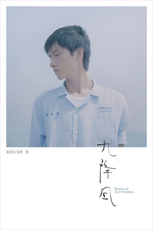 学历认证报告编码查询大全